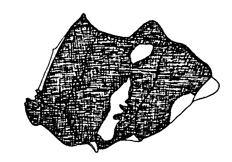 couplet drawing
