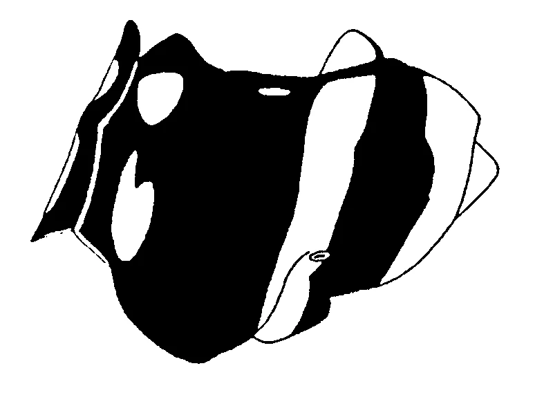 couplet drawing