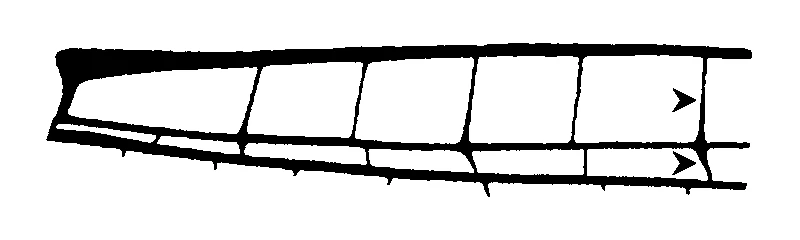 couplet drawing