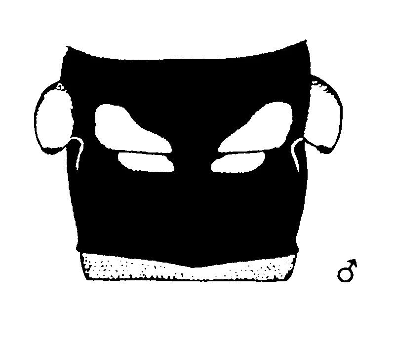 couplet drawing