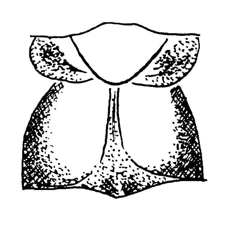 couplet drawing