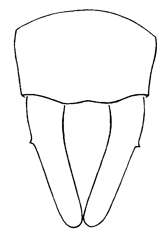 couplet drawing