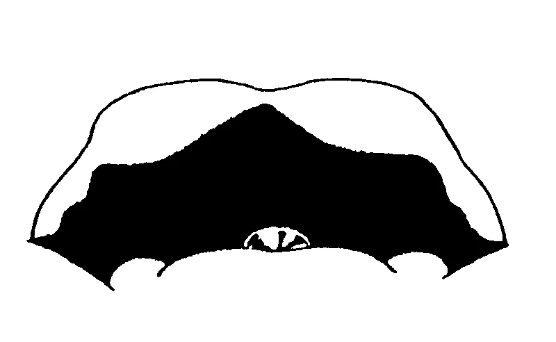 couplet drawing
