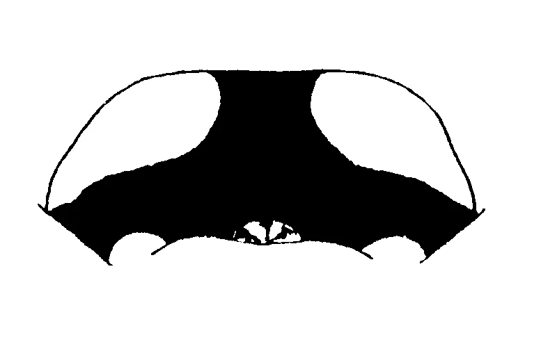 couplet drawing