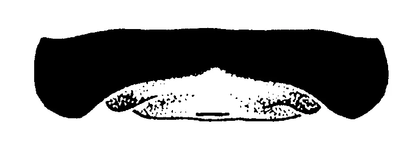 couplet drawing