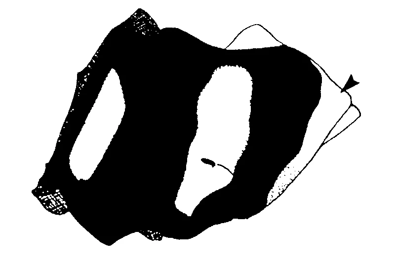 couplet drawing