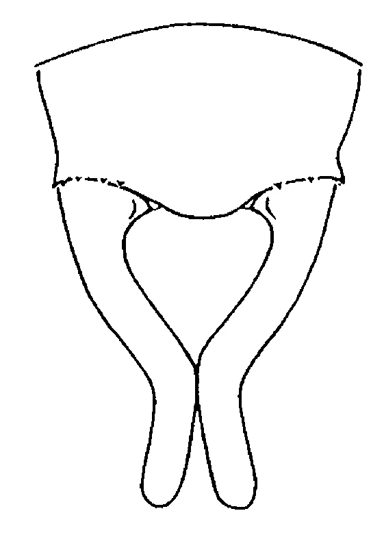 couplet drawing