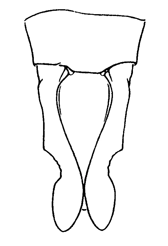 couplet drawing