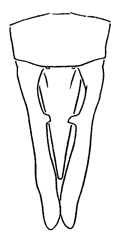 couplet drawing