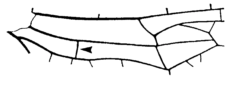 couplet drawing