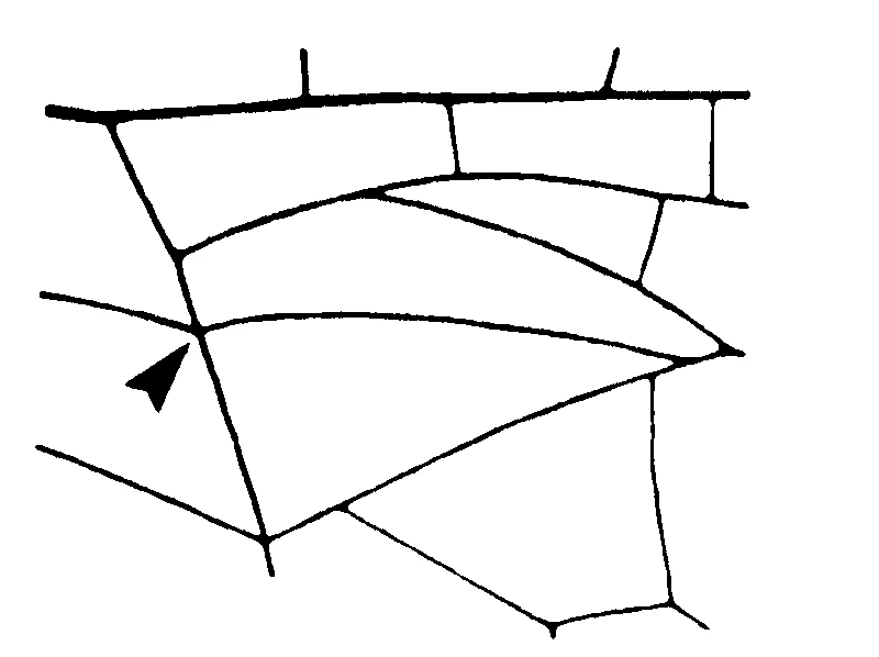 couplet drawing