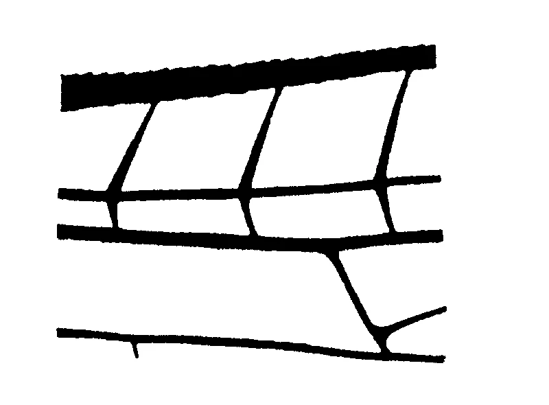 couplet drawing