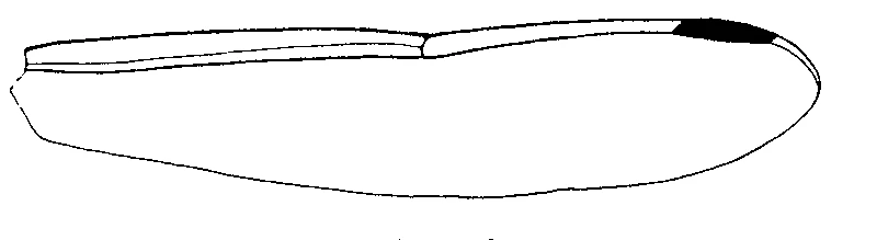 couplet drawing