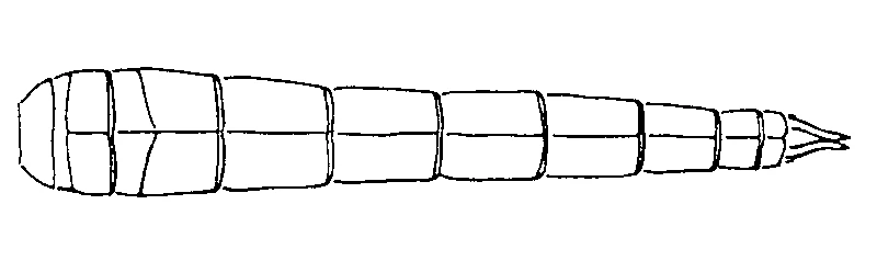couplet drawing