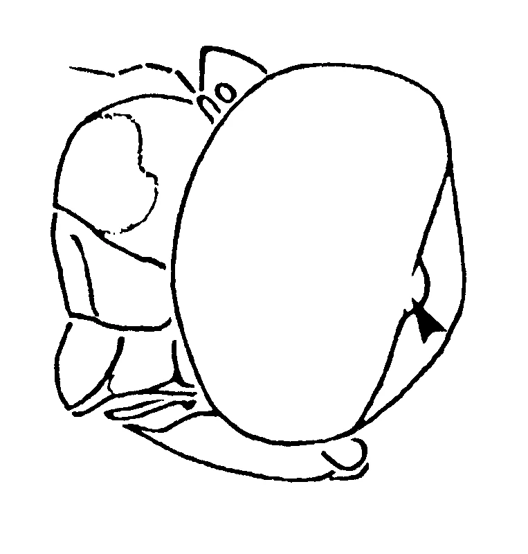 couplet drawing