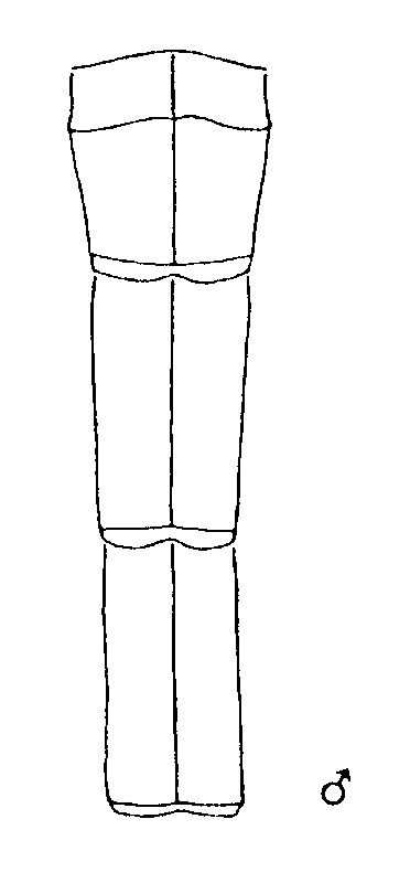 couplet drawing