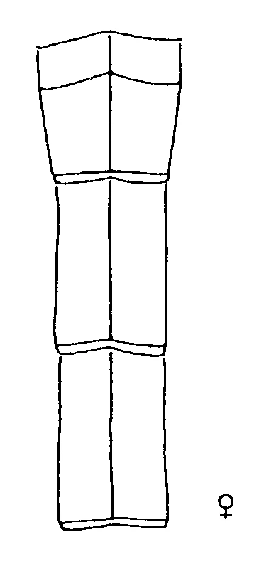 couplet drawing