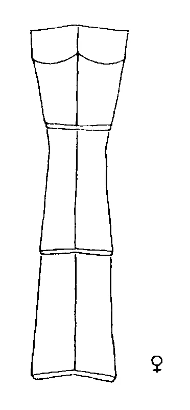 couplet drawing