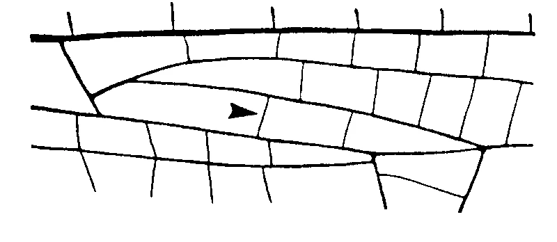 couplet drawing