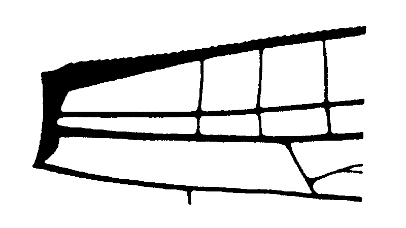 couplet drawing