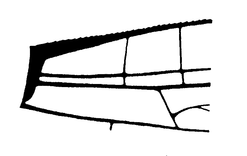 couplet drawing