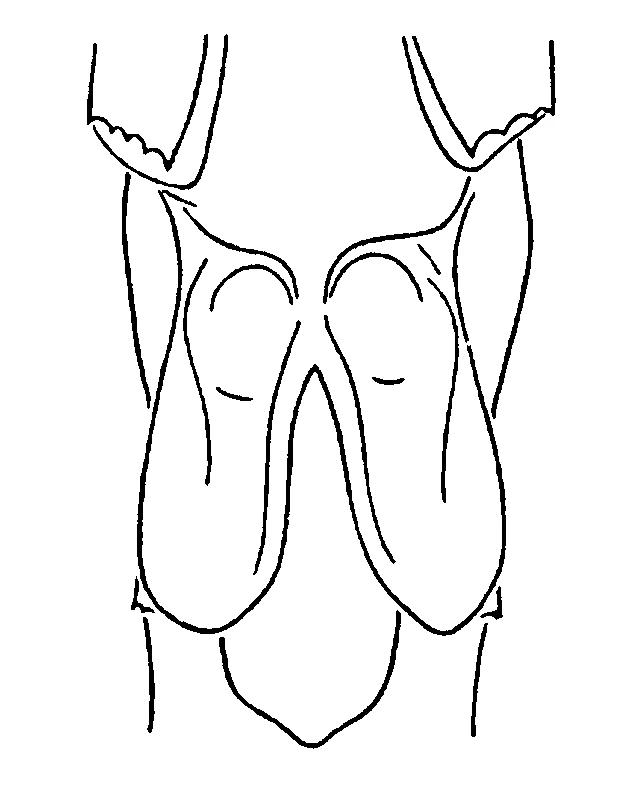couplet drawing