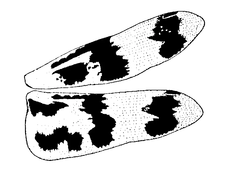 couplet drawing