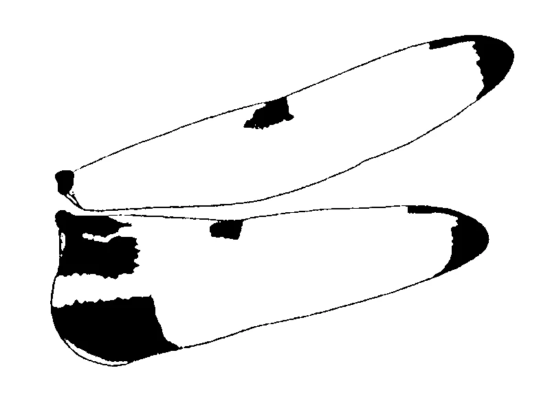 couplet drawing