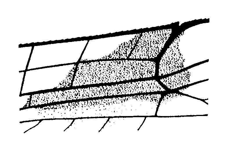 couplet drawing