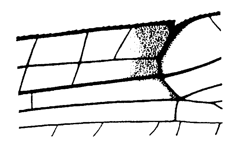 couplet drawing