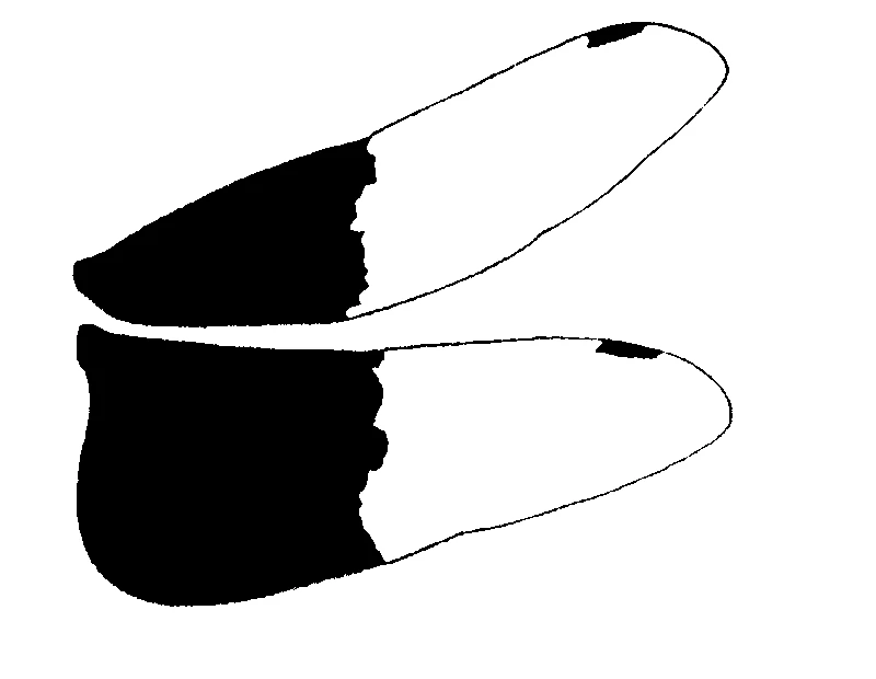 couplet drawing