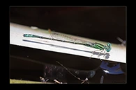 PhotoID: AusDa485. Pilbara Billabongfly (Austroagrion pindrina) - male