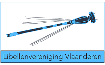 LVV logo