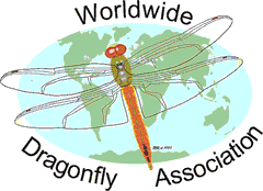 WDA logo