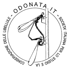 Odonata.it logo